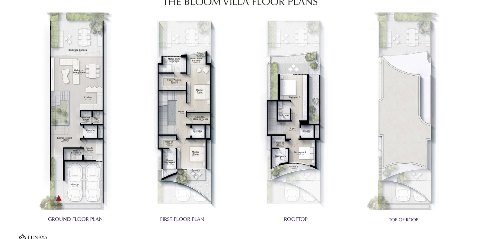 The Bloom floor plan