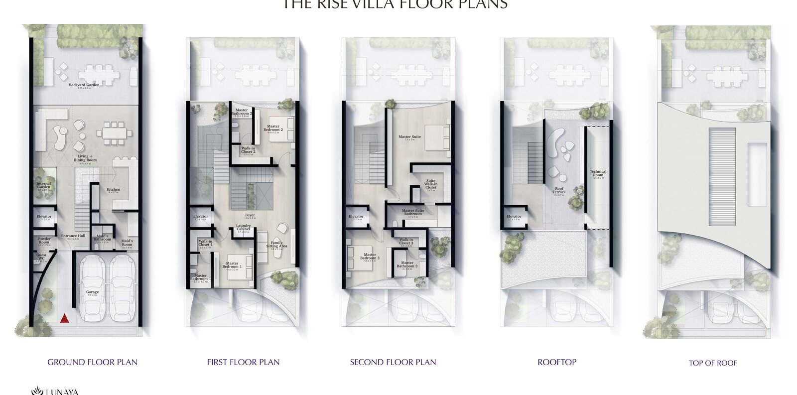 The Rise floor plan